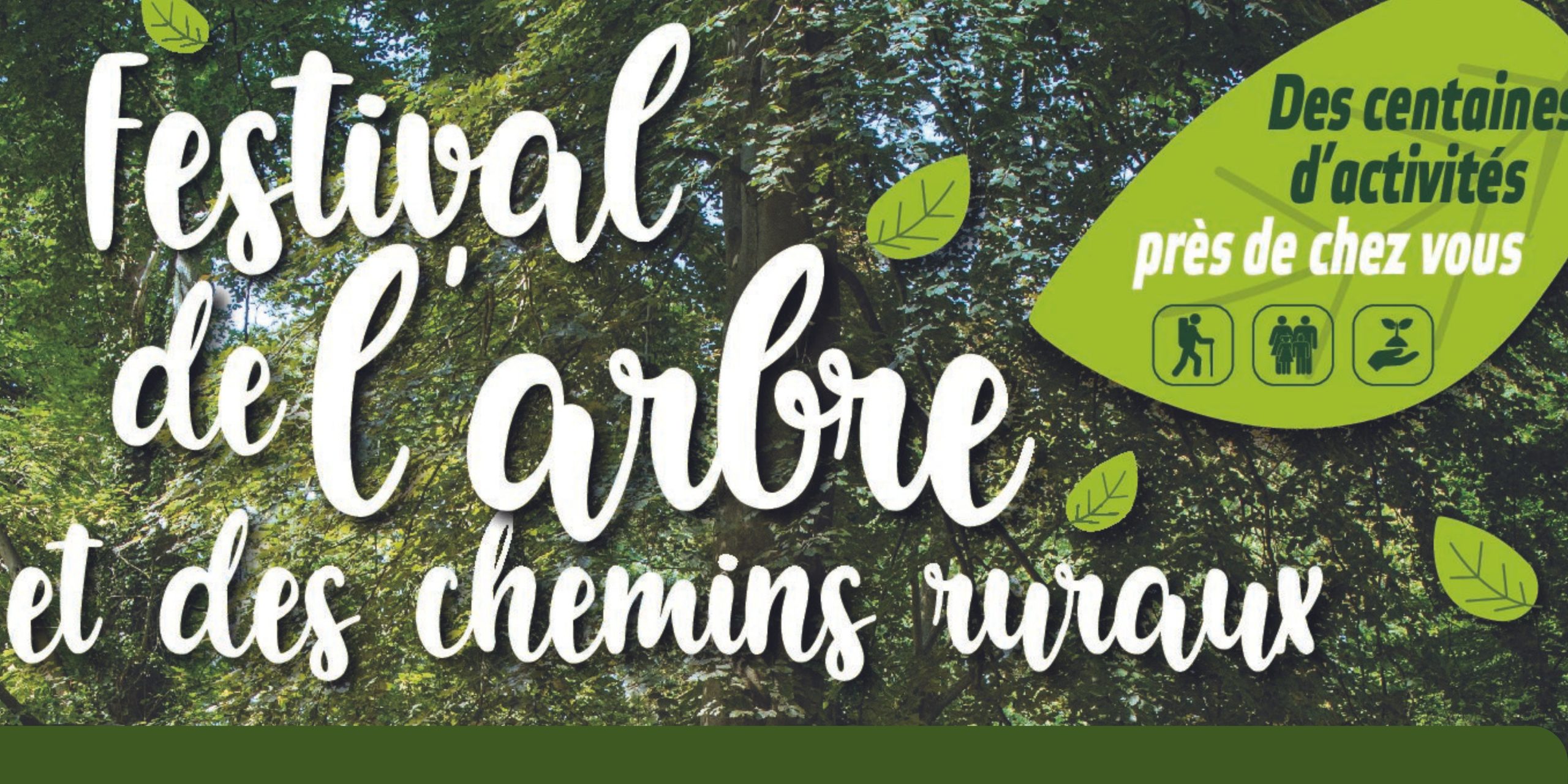 Festival de l&rsquo;arbre et des chemins ruraux