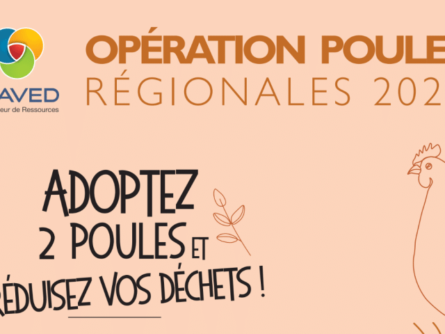 Retour de l’opération « Poules Régionales » en 2026 – SIAVED
